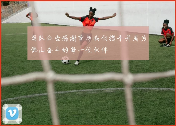 离队公告感谢曾与我们携手并肩为佛山奋斗的每一位伙伴